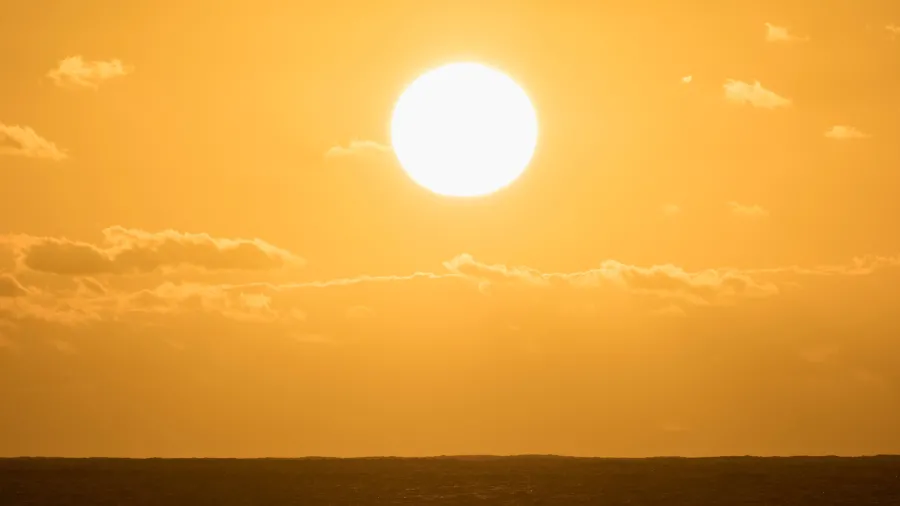 Imagem: dpa/picture alliance via Getty 