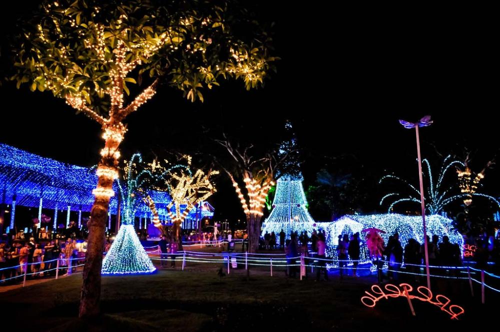 Foto: Decoração de Natal/Internet 