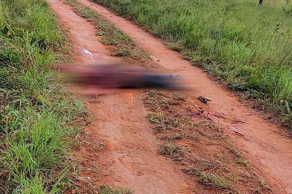 Corpo De Mulher é Encontrado Em Matagal Na Br 070 Em Ceilândia 5398